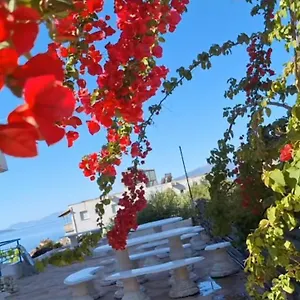 Bed & Breakfast Leon, Sarandë